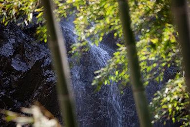 《苏菲的炼金工房2》免费DLC第三弹上线 追加新模式战斗