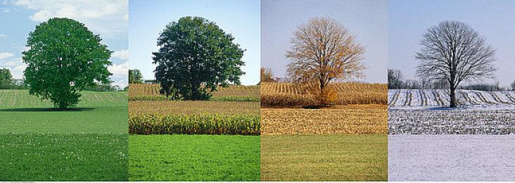 跑酷新作《屋顶叛逆者》2023年发售 登陆PC平台