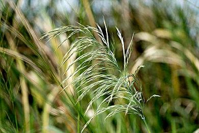 B社副总裁游玩《星空》150-160小时 仍未完成所有任务